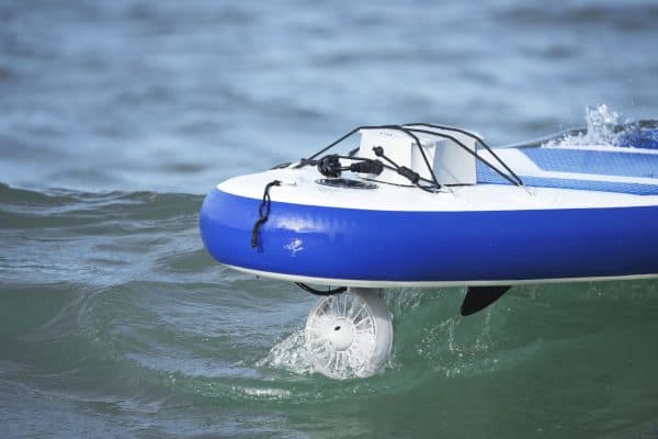 VA-0000-00 Vaquita 1 Vaquita