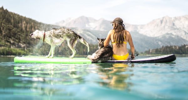 @milesweaverphoto POP paddleboards POPup Green 4 1 scaled